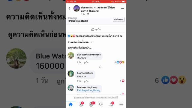 เช็กราคาไม้ประดับออนไลน์ 𝐚𝐥𝐨𝐜𝐚𝐬𝐢𝐚 𝐟𝐫𝐲𝐝𝐞𝐤 𝐯𝐚𝐫𝐢𝐞𝐠𝐚𝐭𝐞𝐝 ปิดไป 300,000 บาท смотреть онлайн