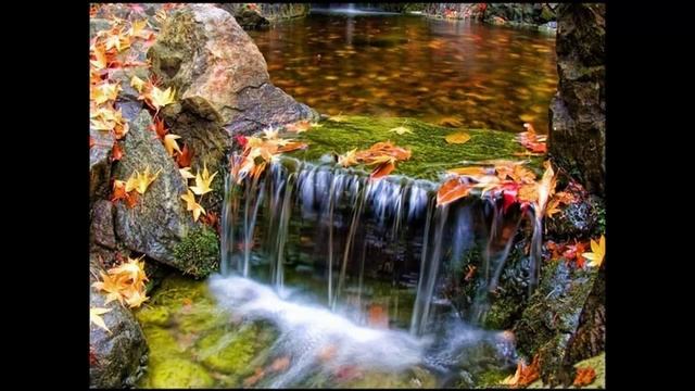 Законы Вселенной - 3. Закон Изобилия. смотреть онлайн