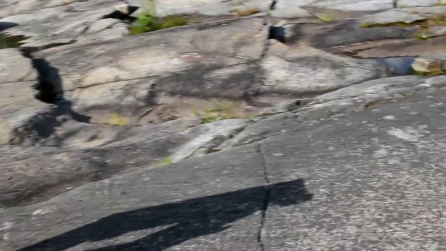 на петроглифах смотреть онлайн