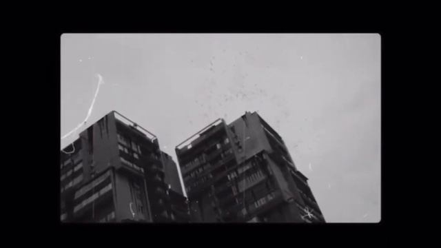 ЛИТВИНЕНКО - ЧЁРНЫЕ ПТИЦЫ (СНИППЕТ 2021) смотреть онлайн