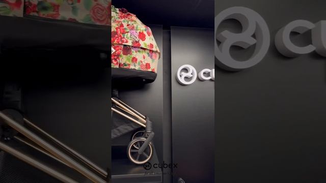 Детские коляски cybex смотреть онлайн