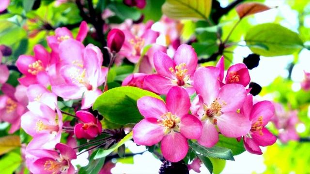 Неприкасаемые или неуязвимые перед властями