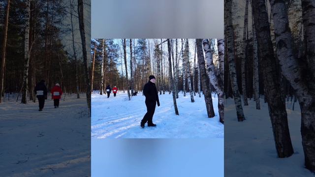 зима, февраль 2024❄⛄.Прогулка в парке " Сосновка ". смотреть онлайн