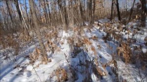 Волк в петле. Установка пружины РАМ с петлей  на волка.