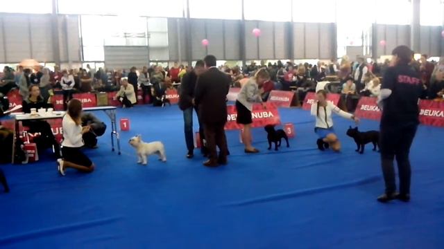 Open class. Расстановка смотреть онлайн
