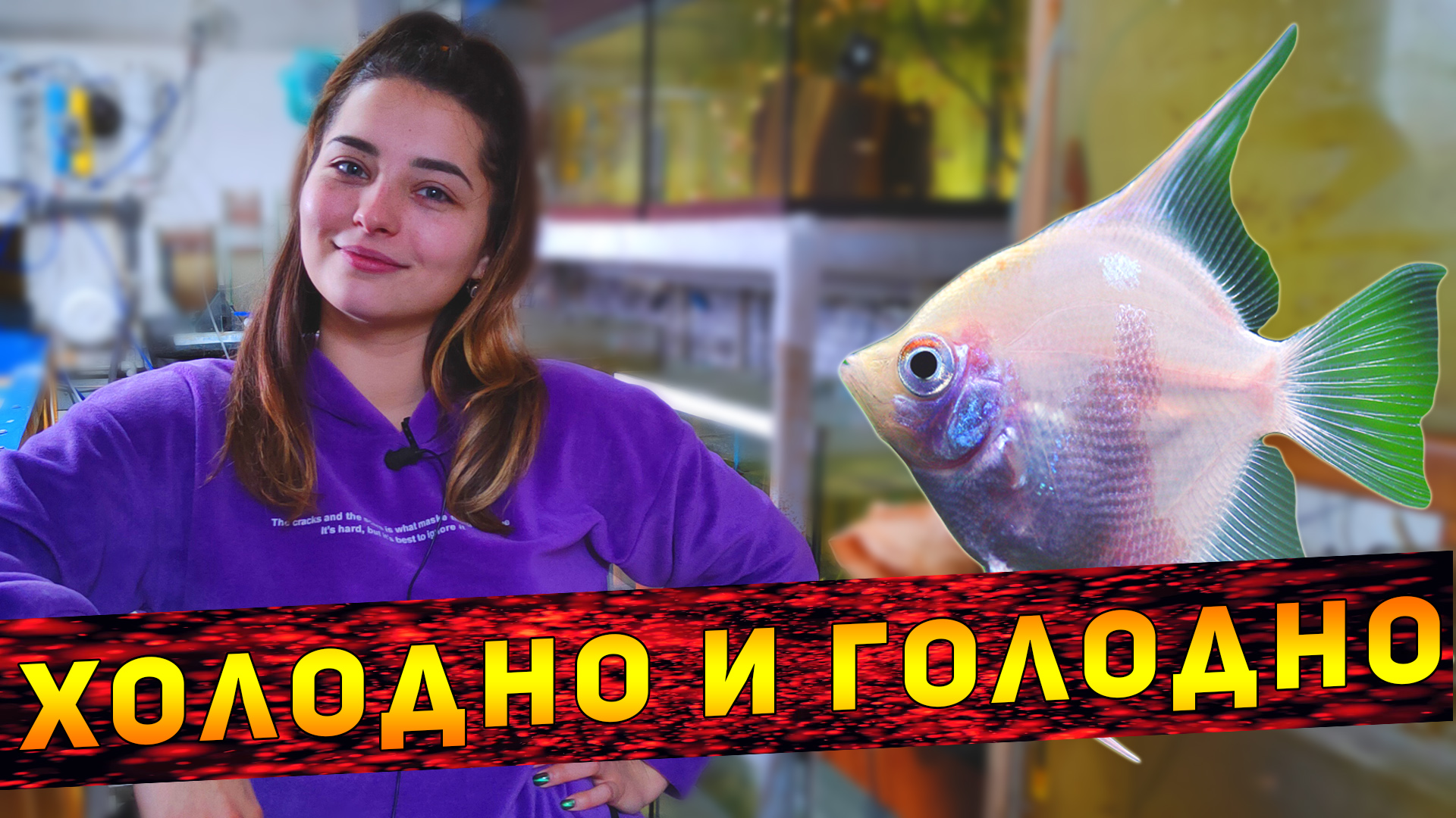 Как сейчас выглядит РАЗВОДНЯ Аленки! смотреть онлайн