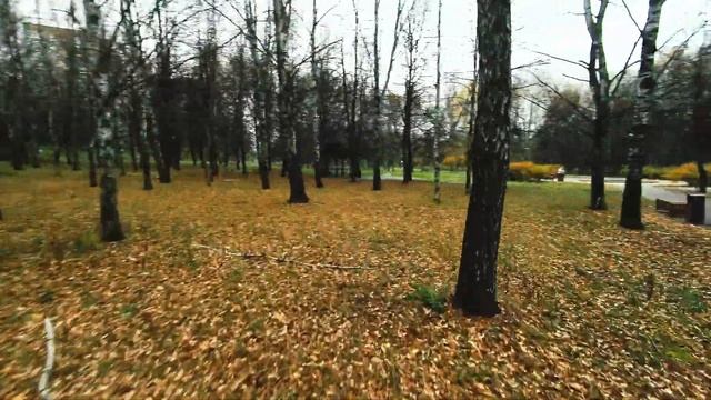Установил Caddx Baby Ratel 2 на Cinelog25. Видео с Thumb Pro. #drone #fpv #autumn  #runcamthumb.