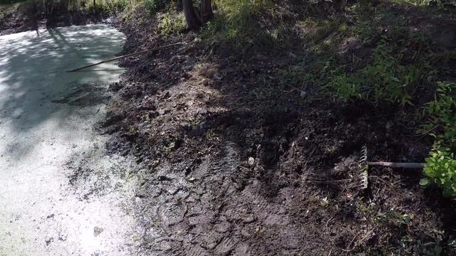ОЧИСТКА ПРУДА В СНТ ДЕНЬ ТРЕТИЙ смотреть онлайн