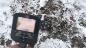 Minelab ctx 3030 тест на глубину чешуи.