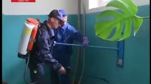 Жилищники нашли новый способ уборки подъездов