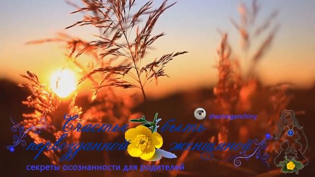 Отчизна смотреть онлайн