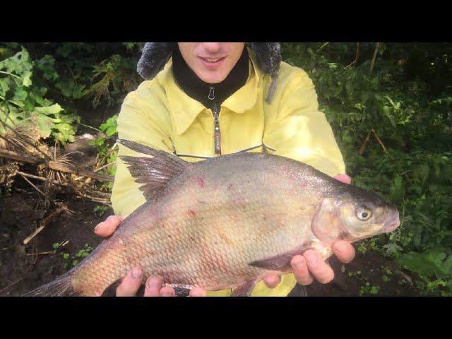 РЫБАЛКА НА ОКЕ/ЛЕЩ ПОПЁР/Вот это РАЗДАЧА/ Первая рыбалка ОСЕНИ смотреть онлайн