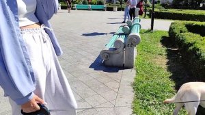 Грузия Лучшая Страна для Путешествия с Собакой, Прогулка по Набережной Батуми