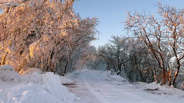 소백산 죽령코스(대피소1박2일)/결국,겨울왕국 그곳으로~/대피소설명 등 смотреть онлайн