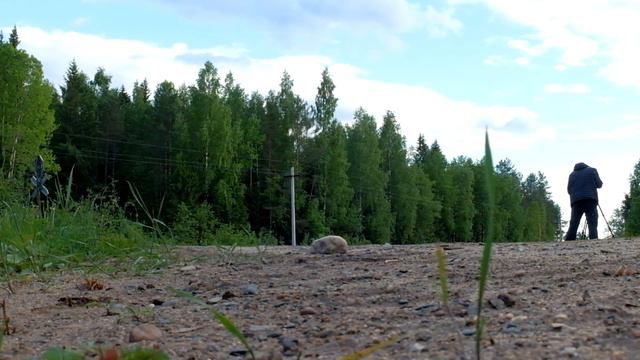 VLOG#15 Воздуха Свободы. Белоручейская узкоколейка. смотреть онлайн