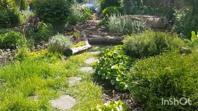 Создание Английского Сада в Подмосковье: поездка в гости. смотреть онлайн