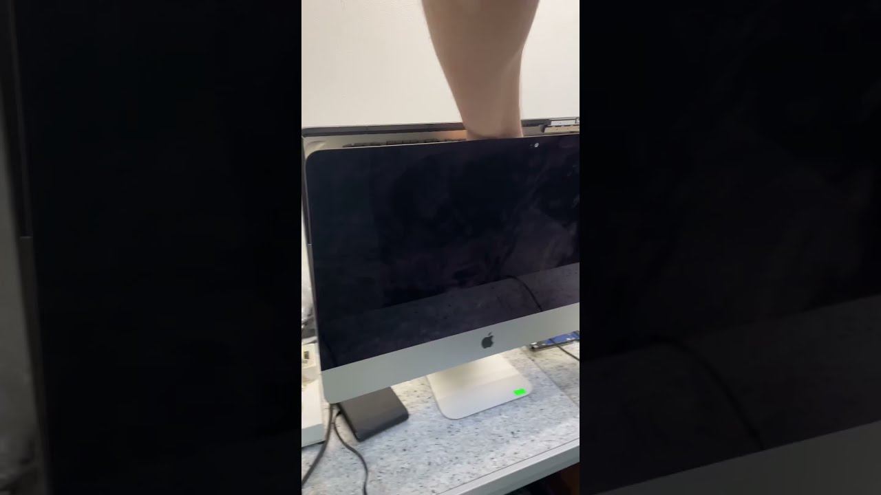 Тыжпрограммист