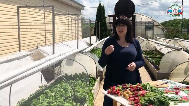 КАК ВЫРАЩИВАТЬ РЕДИС - Сорта редиса и секреты прекрасного урожая | РОЗЫГРЫШ – ПОДРОБНОСТИ В ОПИСАНИ смотреть онлайн