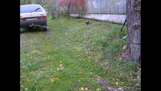 Как привязать коня или корову. смотреть онлайн