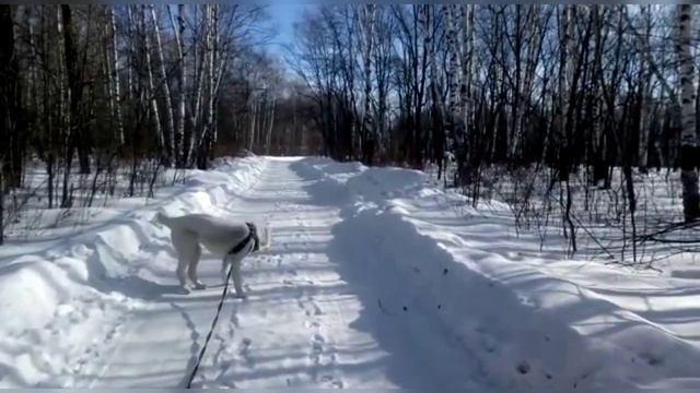 Алабаевка с Вами! Спасибо за помощь! смотреть онлайн