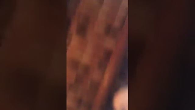 Виктория Боня сыроед смотреть онлайн