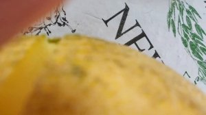 Дыня Summit F1 (Саммит ф1) Беларусь. Теплица. Чутьё не подвело.