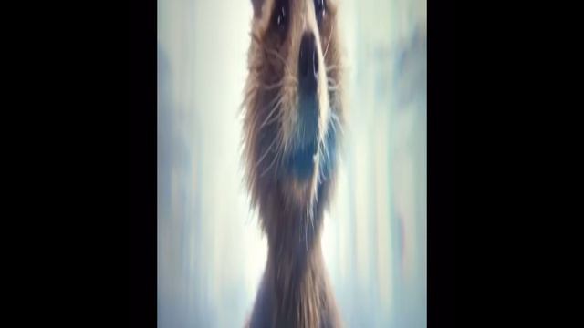 Стражи галактики 3 отрывок ракета и друзья