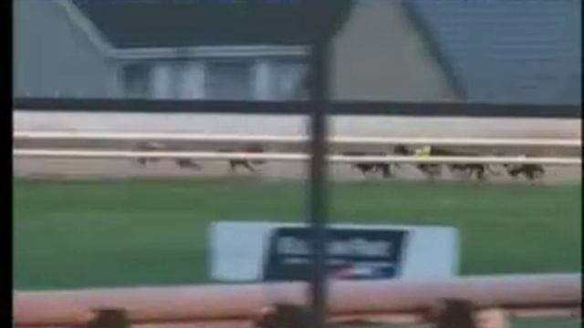 IGB - The Retired Greyhound Trust 24/01/2019 Race 4 - Waterford смотреть онлайн