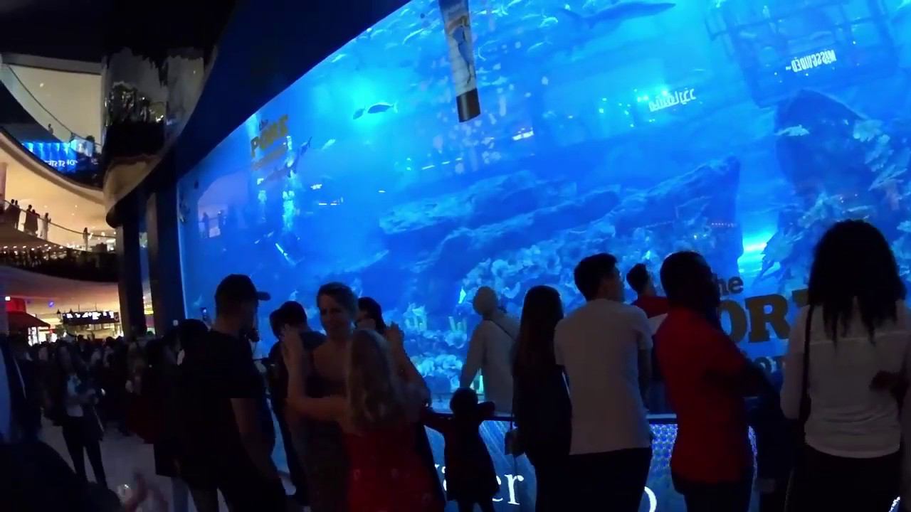 Аквариум в Дубай Моле - Самый Большой в Мире смотреть онлайн