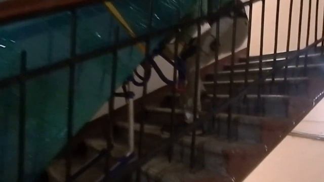 Подъем холодильника в одно лицо на ручной тележке. Ладный извозчикЪ. смотреть онлайн