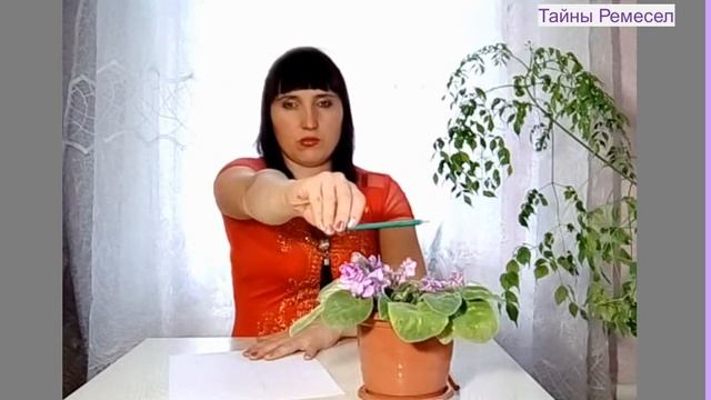 Уход за фиалками. Рисуем фиалку. Часть 1.Care for violets. How to draw a violet. Part 1. смотреть онлайн