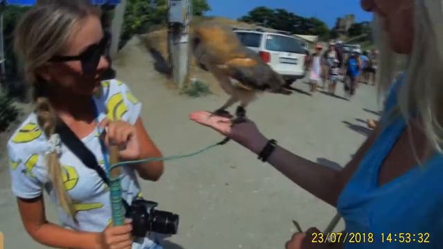 САМПЕРЫ В КРЫМУ / ОТДЫХ ДИКАРЕМ [Архив] смотреть онлайн