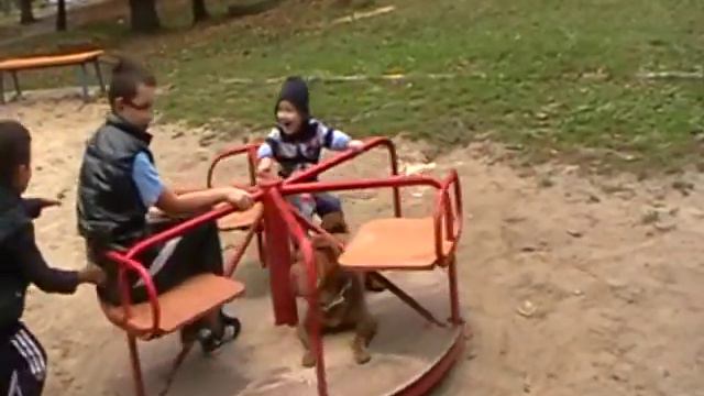 С нами весело. Учим собаку Шарпей и детей кататься на карусели 2017 Teach a dog to ride a carouse смотреть онлайн