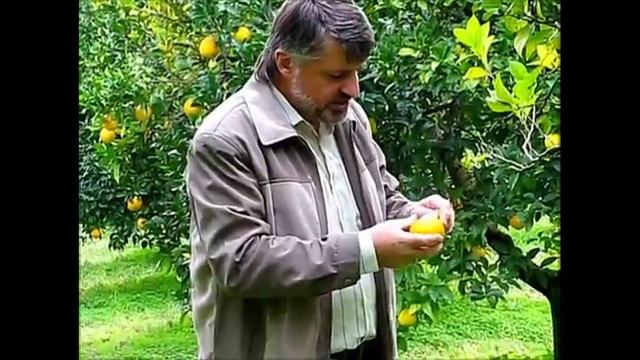 Наш постоянный приют во время итальянских пленэров. Оазис Ассиоло (Сова). Рай на земле!