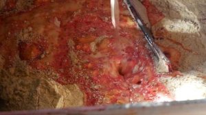 Как сделать бойлы дешево. Производство Lion Baits. Дарим 25кг бойлов