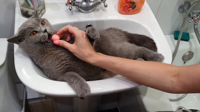 Горькое одиночество. смотреть онлайн