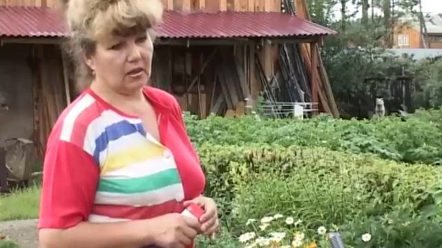 Вырастить пион из семян вполне реально смотреть онлайн