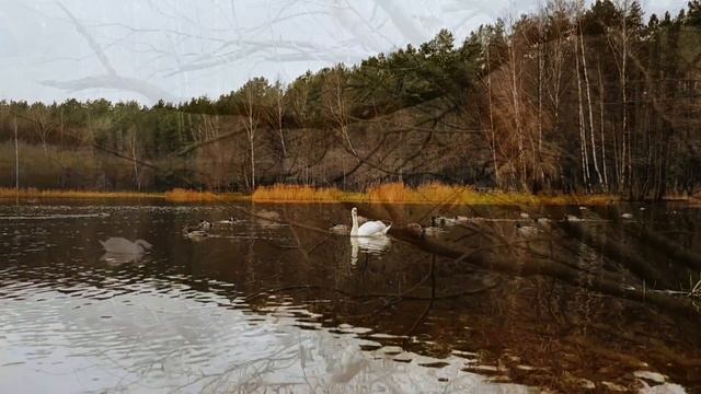 Игорь Крутой.Валерия "Я тебя отпускаю" #игорькрутой#валерия#ятебяотпускаю#музыкалирика смотреть онлайн