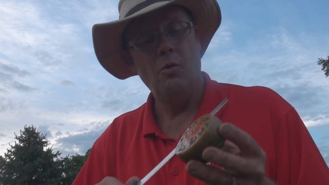 Cherokee Purple Tomato смотреть онлайн