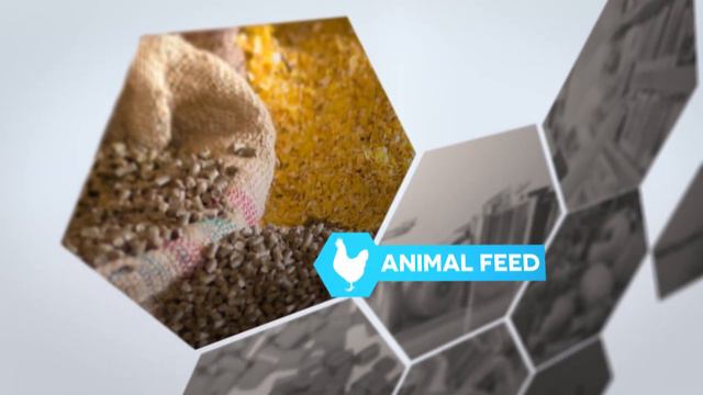 Protea Chemicals Corporate Video смотреть онлайн