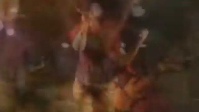 Moray Eel - Sweet Mary.mpg