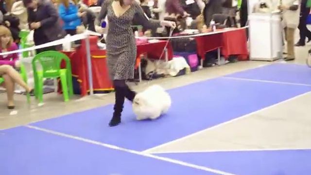 Kiev2013 029 смотреть онлайн