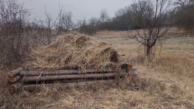 Georg Philipp Telemann - Siciliana from Partita No.2 смотреть онлайн