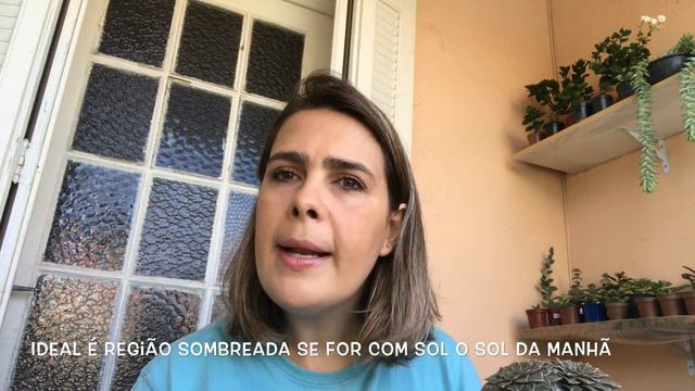 Loja Alma em Flor + Tacitus bellus смотреть онлайн