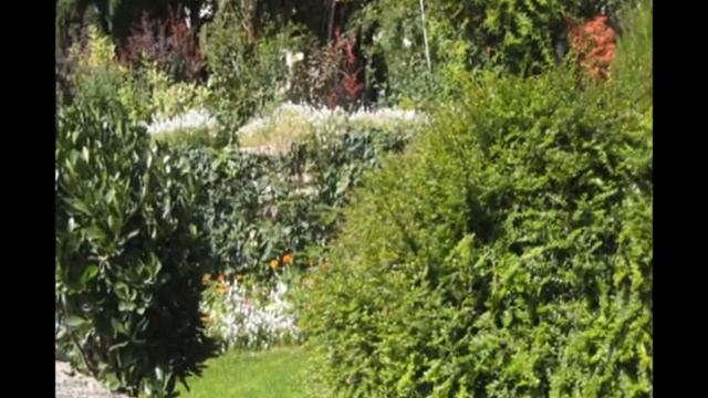 bodbe смотреть онлайн