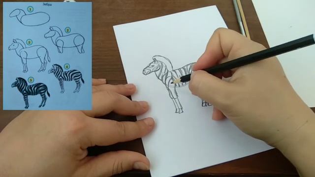 Рисуем животных жарких стран смотреть онлайн