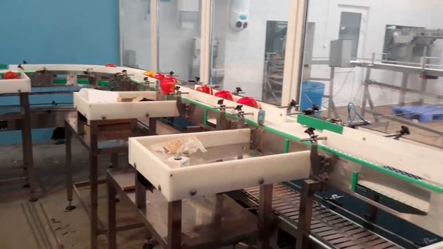 Конвейерная система транспорт готовой продукции с автоматической подачей на накопительные столы смотреть онлайн