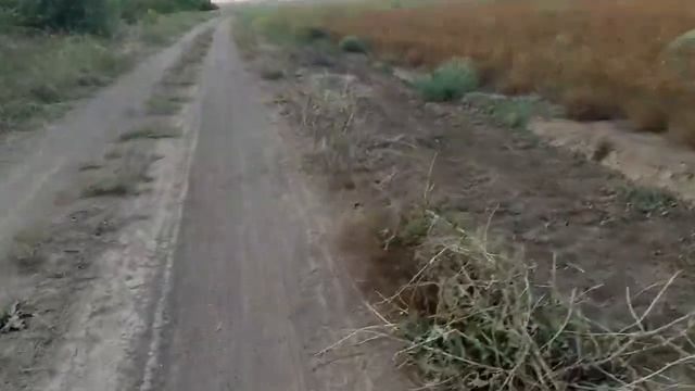 Проблема сельскохозяйственного кудестничества в Российской Федерации смотреть онлайн