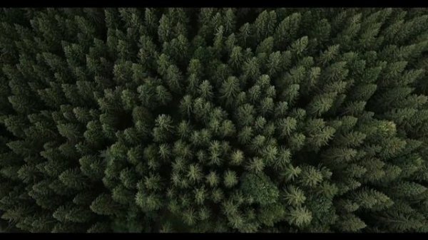 IF by Rudyard Kipling