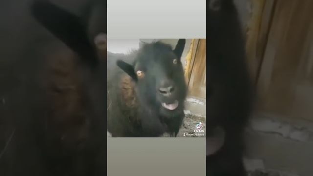 Саня здорово смотреть онлайн